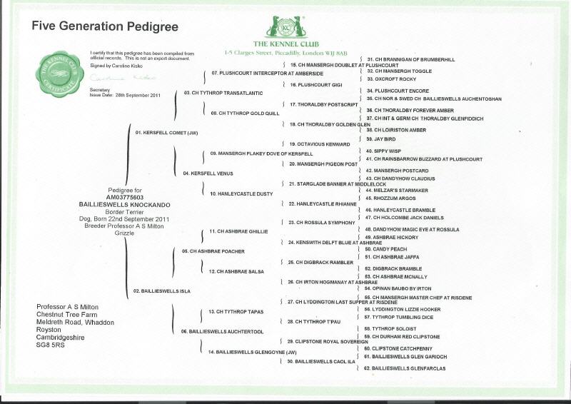 5 Generationen Pedigree