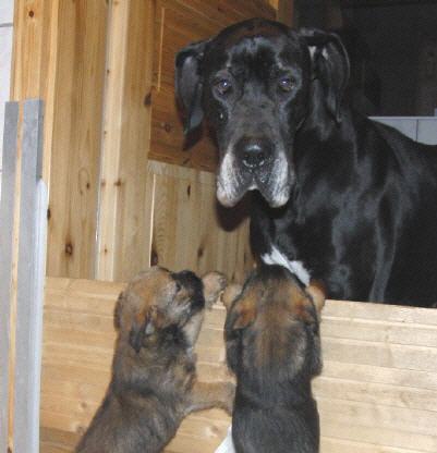 Tante Luzie schaut nach dem Rechten