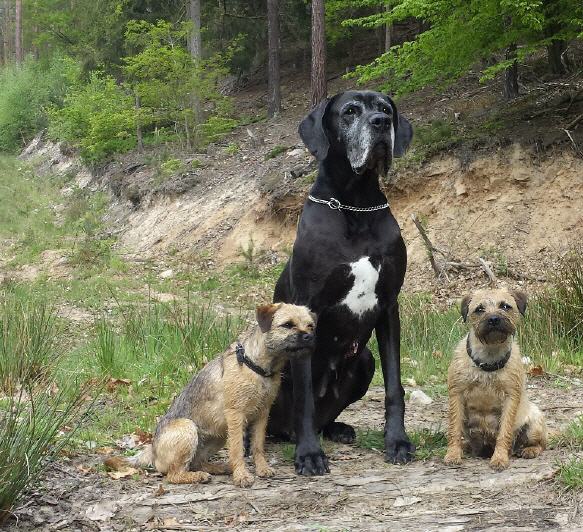 Juno, Noell & Fryda unterwegs